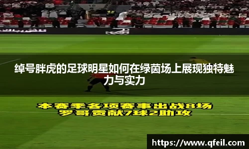 绰号胖虎的足球明星如何在绿茵场上展现独特魅力与实力